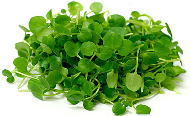 watercress